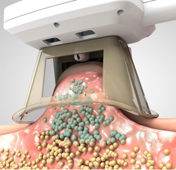 Captura de tela 2025-10-01 080308